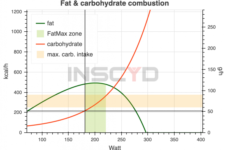 Fat – Carbohydrate 2